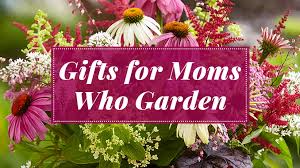 If mom's expecting a traditional gift, opt for the kate spade letter pendant from nordstrom, which features a gold token engraved with a letter for her headphones make a great gift for mom, and you can't get better than the beloved apple airpods pro. Great Gifts For Moms Who Garden Garden Gate