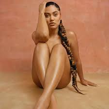 Steph Currys wife Ayesha fires back at online trolls after she posted nude  photo - Daily Star