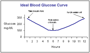 diabetes vetchick com