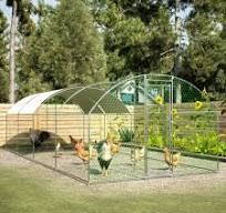 Amazon.com: OUYESSIR Gallinero de metal para exteriores ...