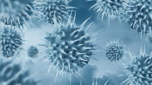 We did not find results for: Norovirus Chto Novogo Chto Pravda I Chto Delat Ecolab