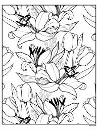 The vibrantly colored bulbous flowers are perfect coloring subjects as children will enjoy coloring these flowers with colors of their choice. Lily And Tulip Flowers Crayola Com