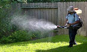 Houston, tx 87 pest control companies near you. Pest Control Houston Tx