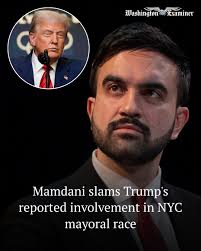 Democratic nominee Zohran Mamdani called out President Donald Trump for his  reported interest in getting involved in New York's mayoral race. READ:  https://trib.al/PBK7tLr #news #explorepage #usa #politics #trump  #presidenttrump #zohranmamdani #NYC ...