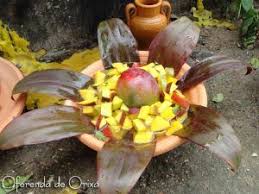 Candomblé A Panela Do Segredo Comida De Santo Manga Para Iansa Oferenda De Orixa Iansa Oferenda Para Oxossi Oferenda Para Exu