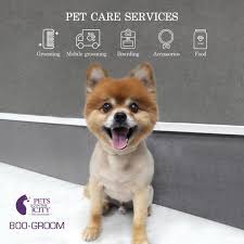 I started as a pet groomer when i first got my own dogs, poppy and woolf, and began to trim their coats myself. Pets In The City Mobile Grooming Uae Business Directory Www Dayofdubai Com