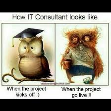 It is the subject of countless books and seminars. Eurostar Conferences On Twitter Friday Funny An It Consultant Before And After A Project Goes Live True Esconfs Ithumor Http T Co Ttqq7rbhj0