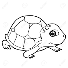 Stock Photo