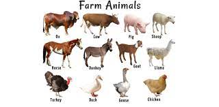 Penguin classics published in 1945, george orwell's animal farm tells the story of a gr. Farm Animal Trivia Proprofs Quiz