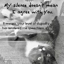 My Silence Doesn T Mean I Agree With You Memes Quotes Agree Agree With You