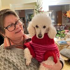 Observert en hund i Liavegen på Skodje, ved krysse opp mot austlivegen. Ser  ut som ett avslete bånd.