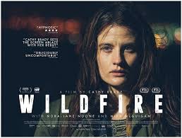 Exclusive: 6 Stunning new posters drop for Cathy Brady's 'Wildfire'