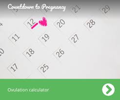 ovulation calculator countdown to pregnancy