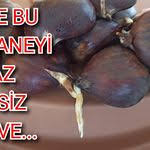 Taracalar Panosundaki Pin