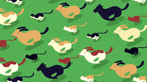 Check spelling or type a new query. Spoune Pourquoi On Ne Vous Souhaite Pas De Gagner Au Loto