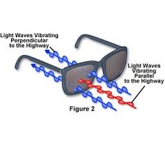 Polyarizacionnye Ochki Polarized Kak Proverit Nalichie Polyarizacii