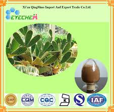 San pedro cactus san pedro cactus scientific classification kingdom: China Kaktus Auszug San Pedro Kaktus Pflanzenauszug Puder 10 1 Caralluma Fimbriata Auszug Kaufen Kaktus Auf De Made In China Com