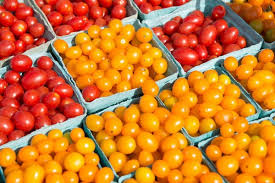 I like to know what i'm going to have all week and just. What We Know And Don T Know About How To Lose Weight The New York Times