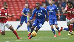 Cardiff city fc foundation is the official charity of cardiff city football club. Cardiff City Fc Efl Championship Football Team Visit Cardiff
