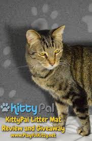 Kittypal Litter Mat Review And Giveaway Playful Kitty Litter Mat Cat Jokes Cat Behavior Facts