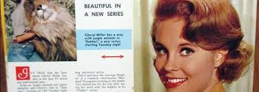 Paula Tracy's Instagram, Twitter & Facebook