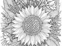 The original, a nzk version with an instrumental only, and a karaoke version. 41 Blumen Ausmalbilder Ideen In 2021 Blumen Ausmalbilder Ausmalbilder Bilder