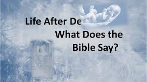 You must love christ more than your mom, dad, and you must love him more than your own life. Life After Death What Does The Bible Say Youtube