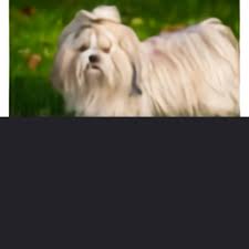 One is sweating up a storm. Dall E Creating Images From Text