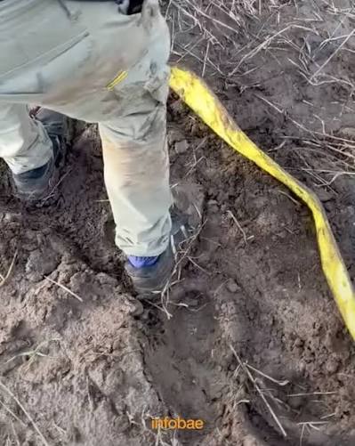 FUE A ASISTIR A UNA CAMIONETA ATASCADA EN EL BARRO Y SE ENCONTRÓ CON EL  DIBU MARTÍNEZ: EL REGALO QUE LE DIO EL ARQUERO TRAS LA AYUDA, Luego del  Mundial 2026, los jugadores de la selección argentina se ...