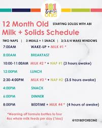 Abi's 12 month old schedule, as requested! We are in a bit of a transition  period, as we wean her off formula onto whole milk.⁠ ⁠ 👋 Welcome to 101  Before One!