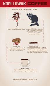 Free Infographic Submission Site Http Infographicplace Com Infographic Making Of Kopi Luwak Coffee Kopi Luwak Coffee Coffee Infographic Coffee Smoothies