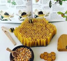 Image May Contain 1 Person Food Bee Activities Bugs Preschool Bee