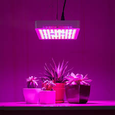 Maybe you would like to learn more about one of these? Led Grow Lights Are Here