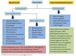 Hemolysis Diagram Medical Laboratories