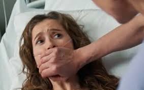 Šokantan poziv hitnim službama: "Orao mi je ispustio mačku na vjetrobransko  staklo i razbio ga"