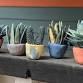 Monthly Make-Along: Miniature Plant Sculptures