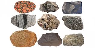 Apa Saja Jenis Jenis Batuan Sedimen Biologi Dictio Community