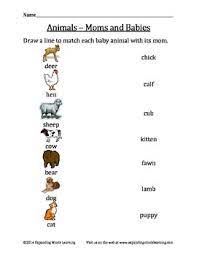 Kindergarten worksheets preschool worksheets are you my mother? Animals Moms And Babies Matching Worksheet By Expanding Minds Learning