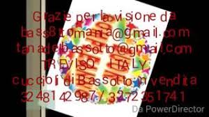 Jovanotti, noemi, saturnino, gli auguri degli amici. Buon Compleanno Da Vasco Rossi Youtube