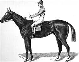 Aristides Horse Wikipedia