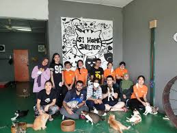 Bon ton resort she is presently basing herself in langkawi, malaysia from where she continues her exploration of. Sisa Organised Community Service At Animal Shelter Sunway College