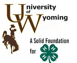 Summary of 2016 Achievement Awards