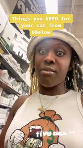 I’m broke but I love to spoil my kitty 🥹  #fivebelow#fivebelowpets#fivebelowfinds#fivebelowbuys#fivebelowhaul#cat#catsoftiktok