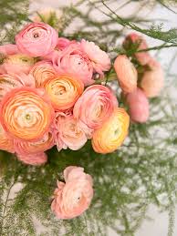 And this flower is one of the most popular for brides choosing their wedding. Wedding Flower Power The Radiant Ranunculus