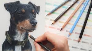 Learn how to draw realistic pet portraits using graphite pencils with professional pet portrait artist how to choose a reference photo. How To Draw Black Fur Coloured Pencil Demo Youtube