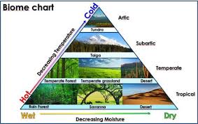 Biome Chart Triangles Montessori Science Science Biology