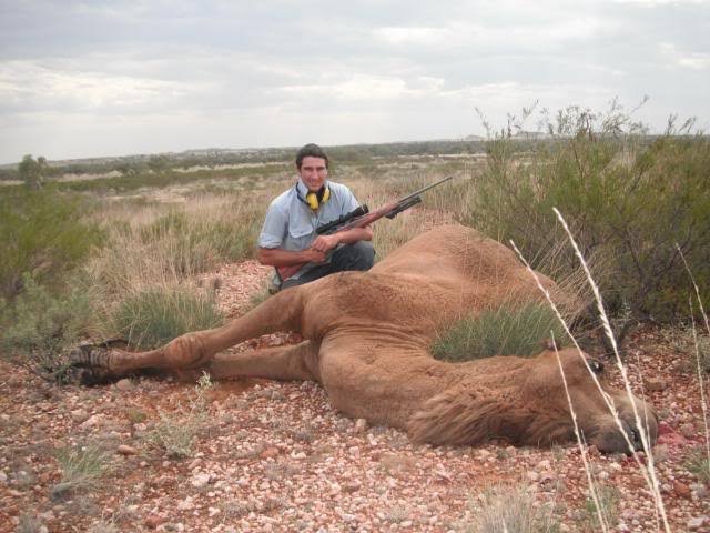australia camel shooting ile ilgili görsel sonucu"