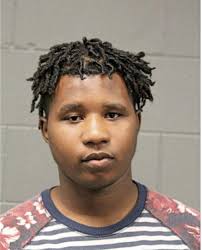 ᐅ Illinois Criminal Records 2009-2025