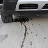 This damage to the oil pan can result in a puddle of oil under the car after you have. Https Encrypted Tbn0 Gstatic Com Images Q Tbn And9gcsjayddojsgmt Clpinpufvqb0fpkscz6rvefunodyytahm3wog Usqp Cau