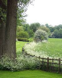 titsey place and gardens country gardening beautiful gardens garden inspiration